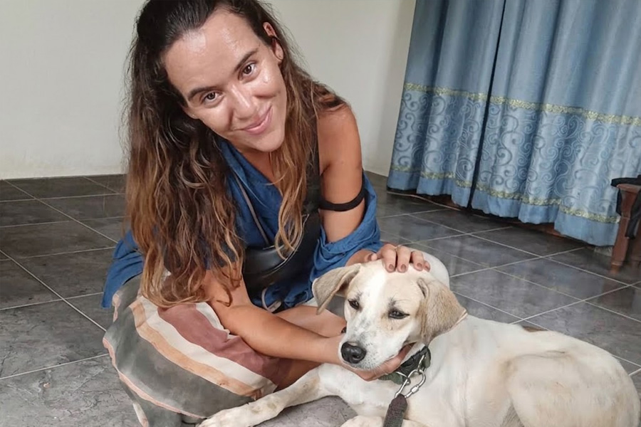 Tourist Dog Care